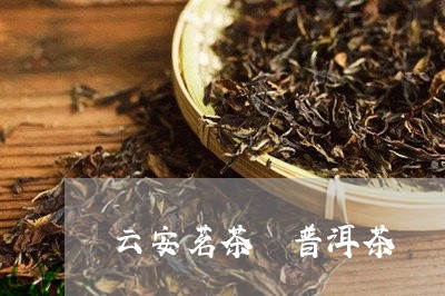 云安茗茶 普洱茶/2023041028250